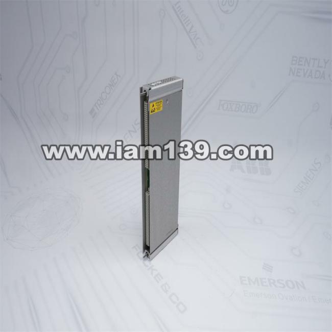 
Bently Nevada I/O模块，内置终端。