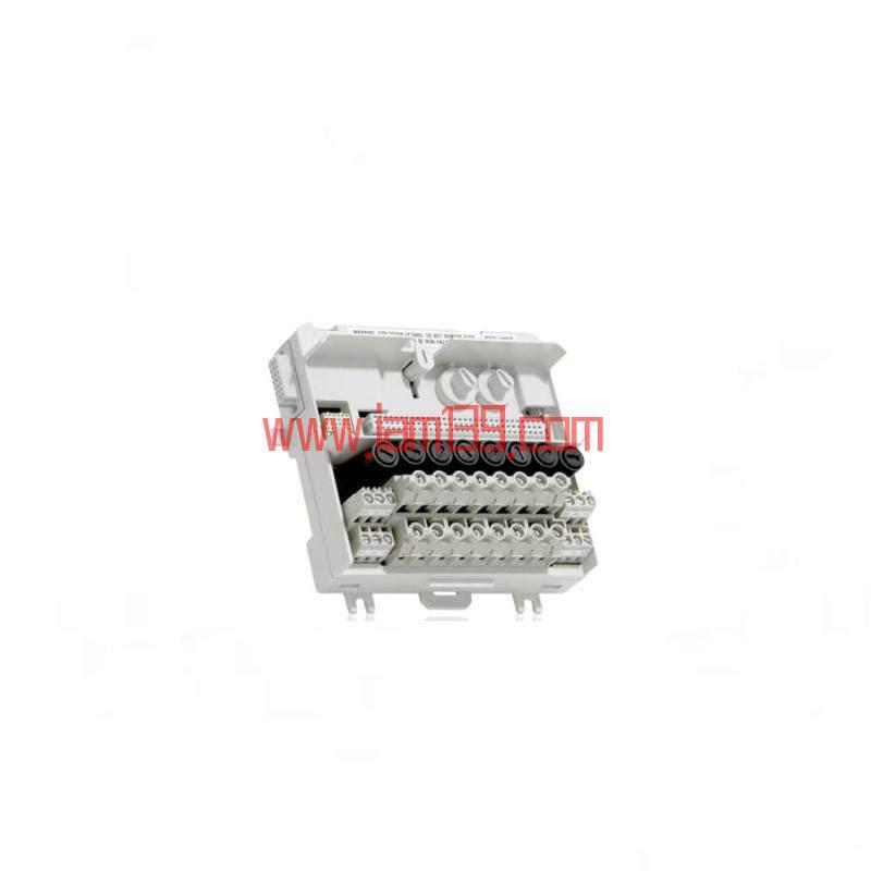 
ABB TU837V1, 3BSE013238R1 延展MTU，250V，带熔断器