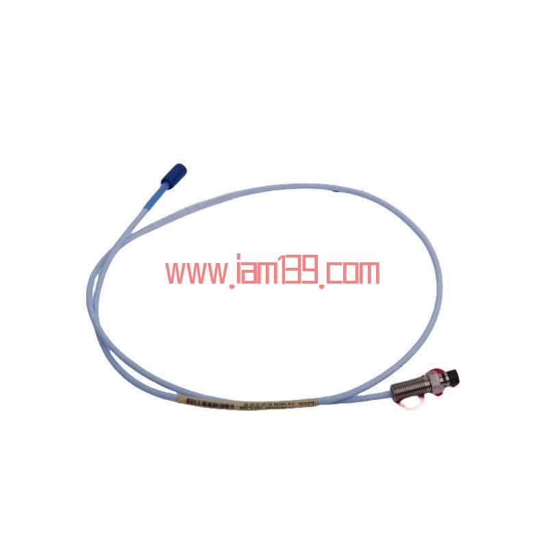 
宾利内华达990-04-50-02-00振动监测器