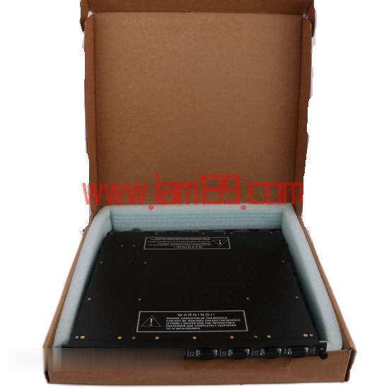 
TRICONEX 9760-2 7300150-001 高性能工业控制模块