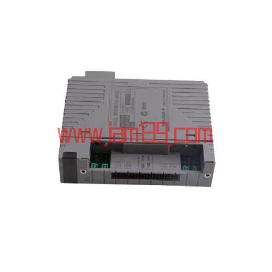 
横河 AAI841-H00 模拟量输入输出模块 - 工业控制精密输入输出